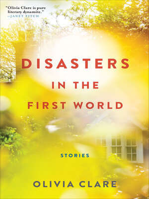 cover image of Disasters in the First World